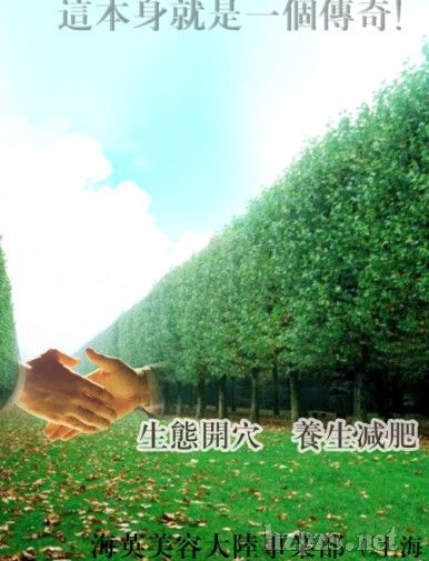 我要开一家减肥养生馆,帮取个大气雅致的名字