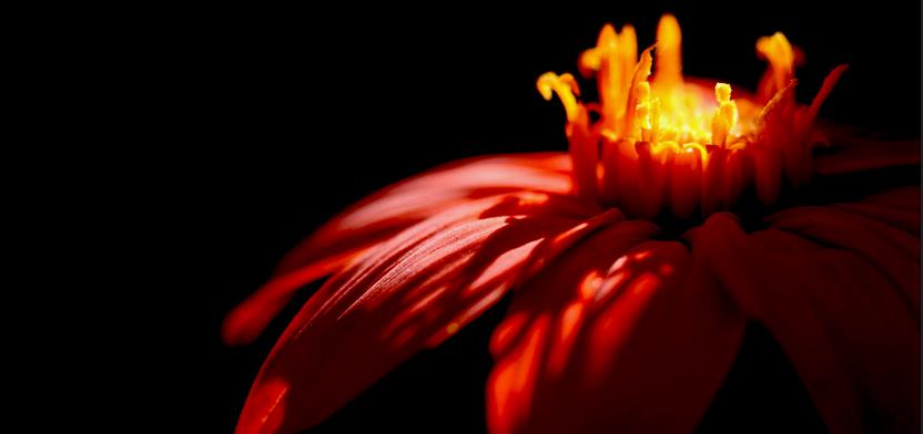 北京德美艾斯商贸有限公司